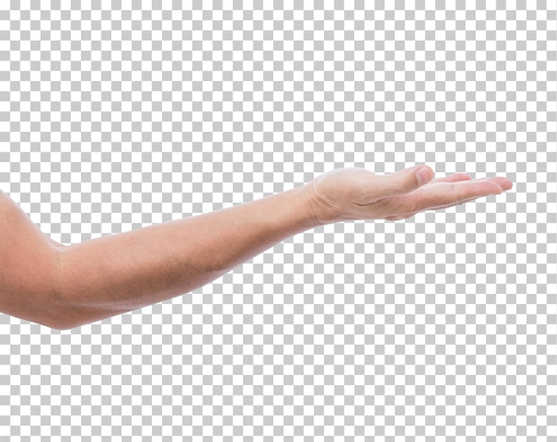 PSD hand isoliert