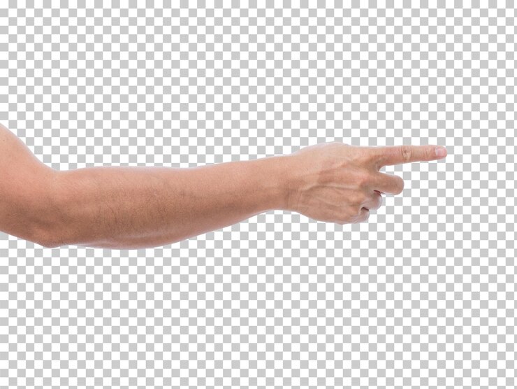Hand isoliert