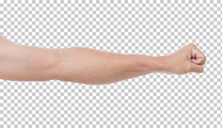 Hand isoliert
