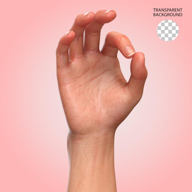 Handgestur isolierte 3D-Rendering-Illustration