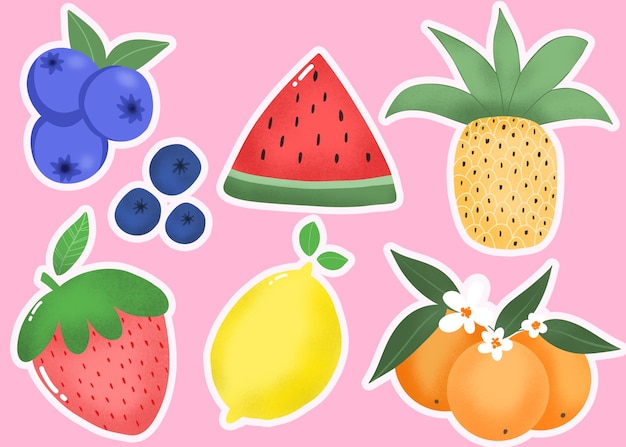 Handgezeichnete Illustration einer Sammlung von Früchten wie Orangen, Erdbeeren, Blaubeeren, Wassermelonen