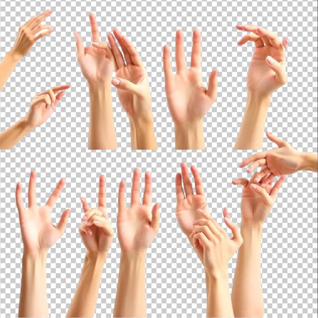 Handmodelle, die verschiedene Gesten auf dem weißen Hintergrund zeigen