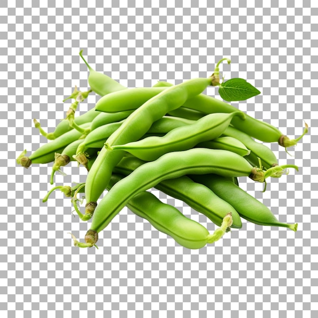 PSD des haricots verts sur un fond transparent