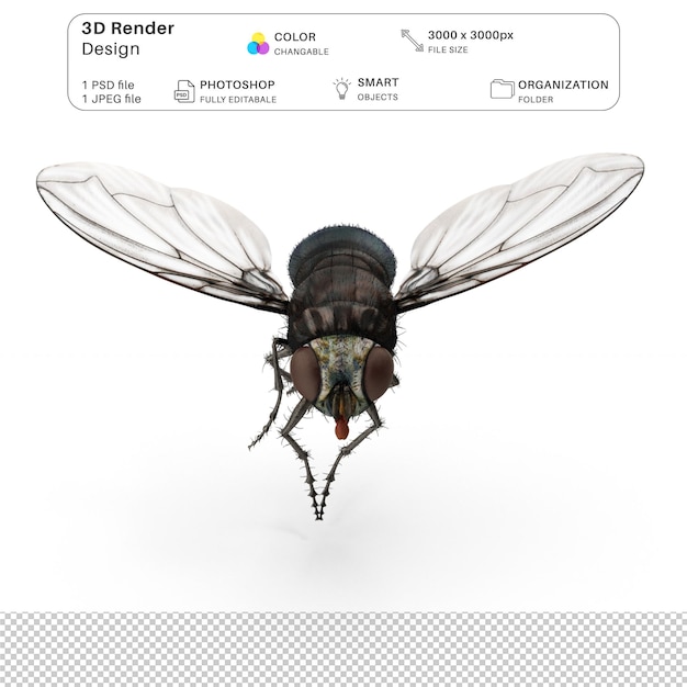 Hausfliege 3D-Modellierung PSD-Datei Realistische Hausfliege