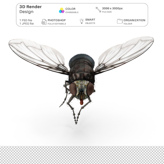PSD hausfliege 3d-modellierung psd-datei realistische hausfliege