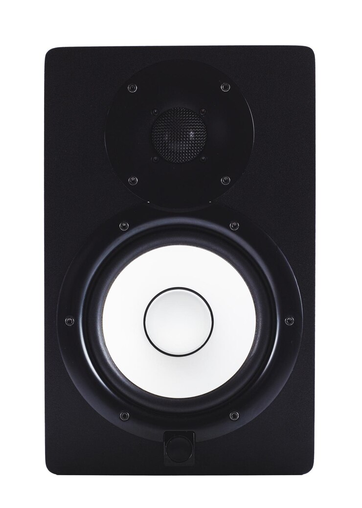 PSD haut-parleur de moniteur de studio professionnel