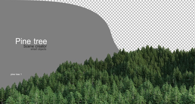 haute montagne avec des pins divers types d'adultes