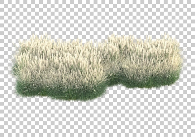 Heilpflanzen auf transparentem Hintergrund 3D-Darstellung