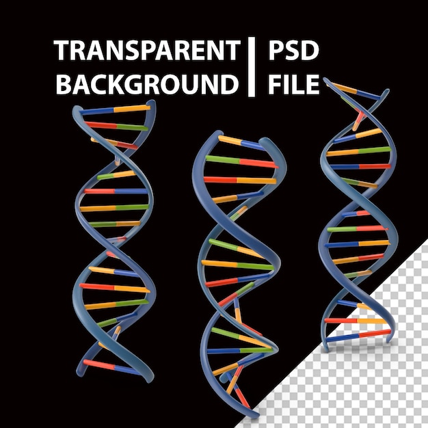 PSD hélice de dna png