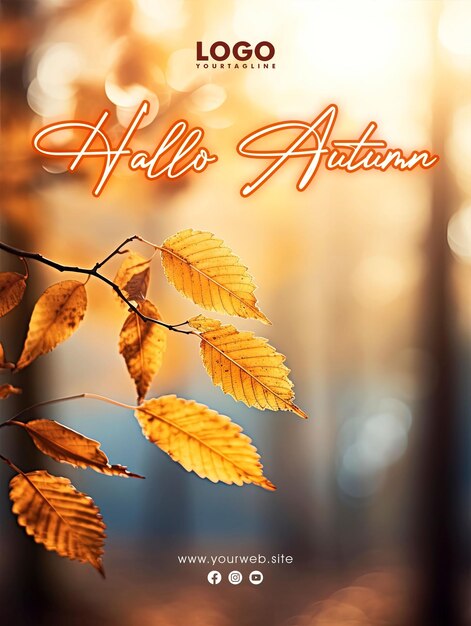 PSD hello autumn est une conception d'affiche pour les médias sociaux.