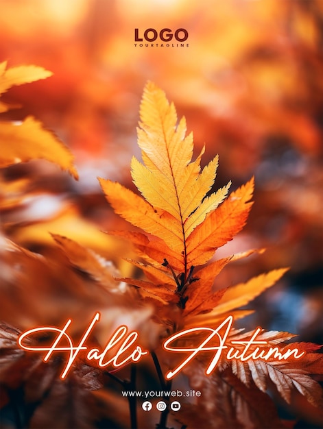 PSD hello autumn est une conception d'affiche pour les médias sociaux.