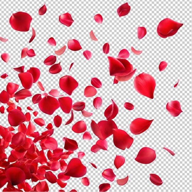 PSD herabfallende rote rosenblätter auf durchsichtigem hintergrund