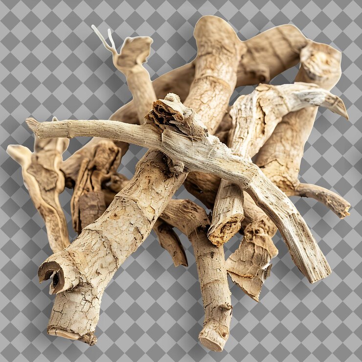 PSD herba de la raíz de la garra del diablo tipo harpagophytum procumbens forma de objeto aislado en fondo limpio