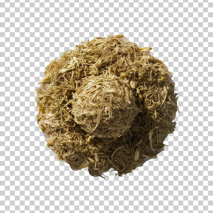 PSD herbal asafoetida hing isolado em fundo transparente
