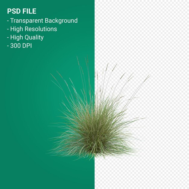 PSD herbe arbre rendu 3d isolé