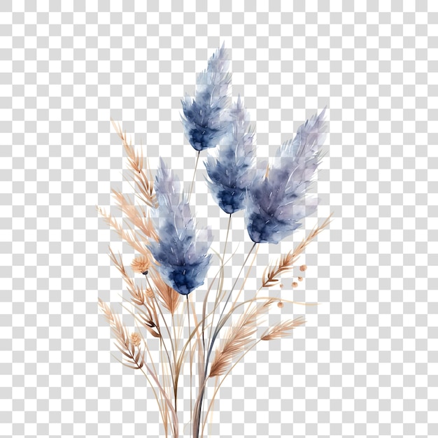 PSD herbe bleue de pampas isolée sur un fond transparent png