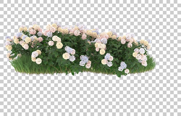 Herbe et fleurs sur fond transparent. rendu 3d - illustration