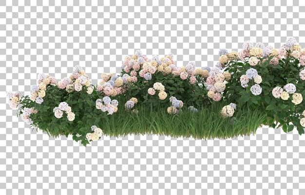 Herbe et fleurs sur fond transparent. rendu 3d - illustration