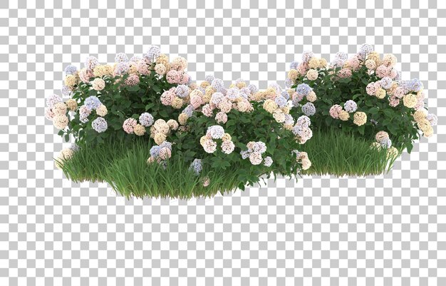 Herbe et fleurs sur fond transparent. rendu 3d - illustration
