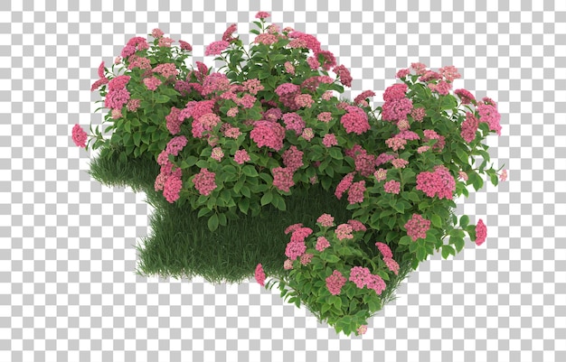 Herbe Et Fleurs Sur Fond Transparent. Rendu 3d - Illustration