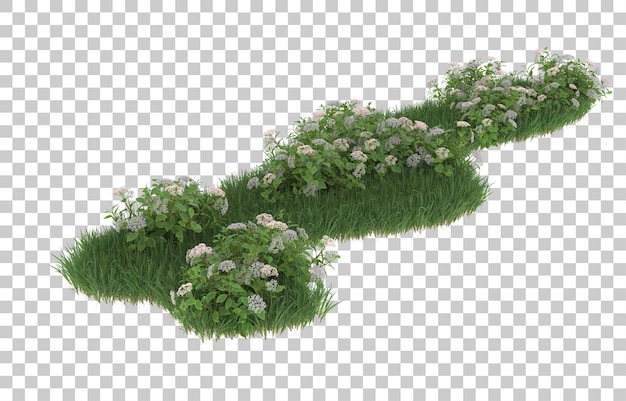 Herbe Et Fleurs Sur Fond Transparent. Rendu 3d - Illustration