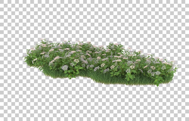 Herbe Et Fleurs Sur Fond Transparent. Rendu 3d - Illustration