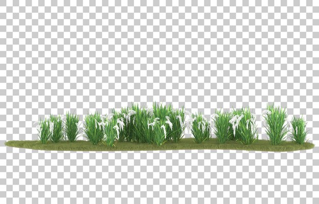 PSD herbe sur fond transparent. rendu 3d - illustration