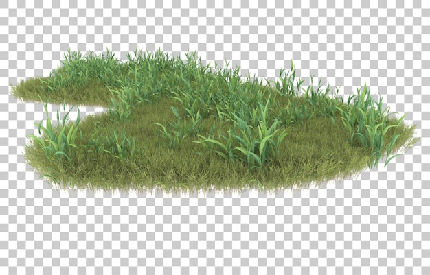 PSD herbe sur fond transparent. rendu 3d - illustration