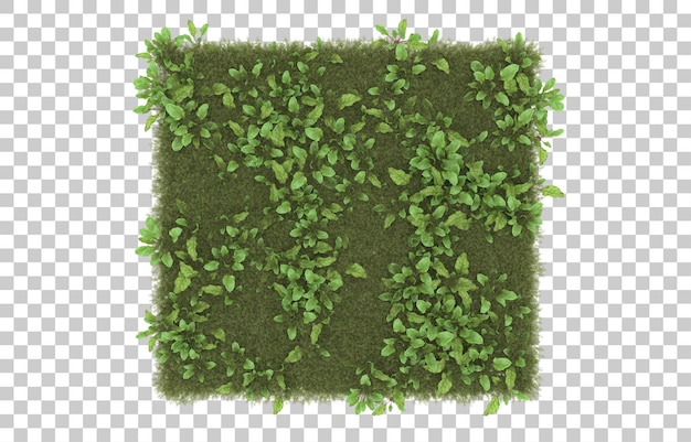 PSD herbe sur fond transparent. rendu 3d - illustration