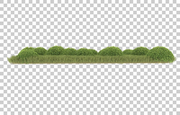 Herbe Sur Fond Transparent. Rendu 3d - Illustration