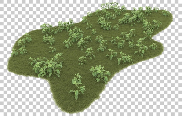 PSD herbe sur fond transparent. rendu 3d - illustration