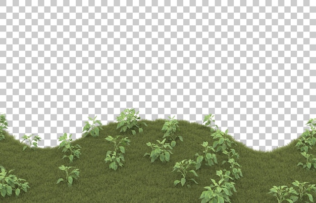 Herbe Sur Fond Transparent. Rendu 3d - Illustration