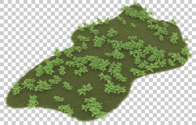 Herbe sur fond transparent. rendu 3d - illustration