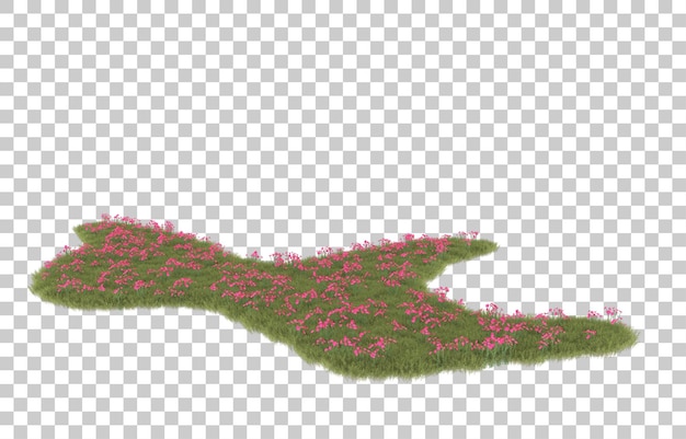 Herbe Sur Fond Transparent. Rendu 3d - Illustration