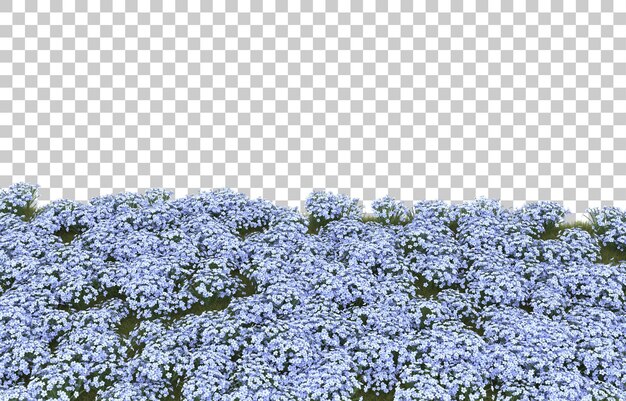 Herbe sur fond transparent. rendu 3d - illustration