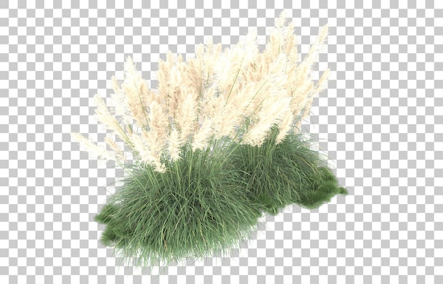 Herbe Sur Fond Transparent. Rendu 3d - Illustration