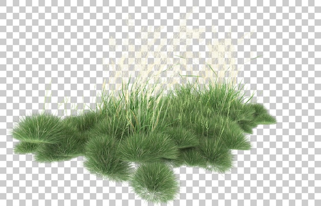 Herbe Sur Fond Transparent. Rendu 3d - Illustration