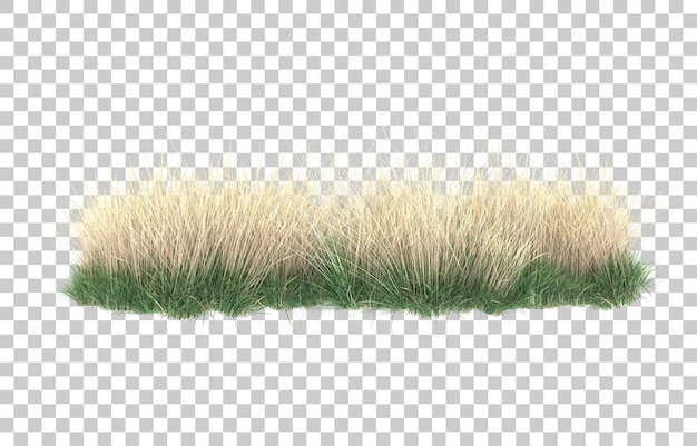 Herbe Sur Fond Transparent. Rendu 3d - Illustration