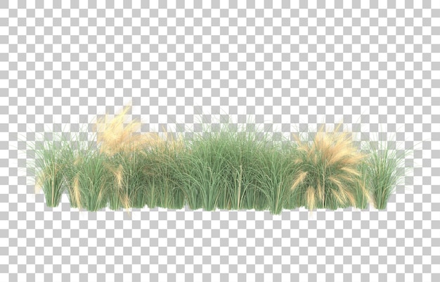 Herbe Sur Fond Transparent. Rendu 3d - Illustration