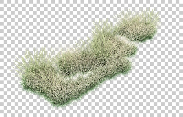 PSD herbe sur fond transparent. rendu 3d - illustration