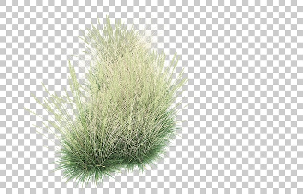 Herbe sur fond transparent. rendu 3d - illustration