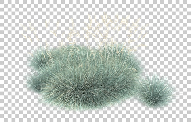 PSD herbe sur fond transparent. rendu 3d - illustration