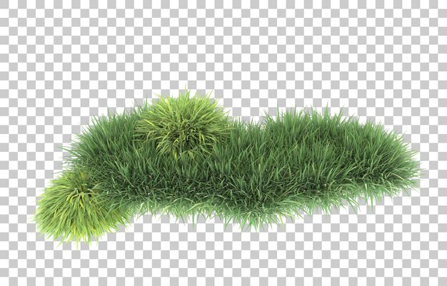 Herbe sur fond transparent. rendu 3d - illustration