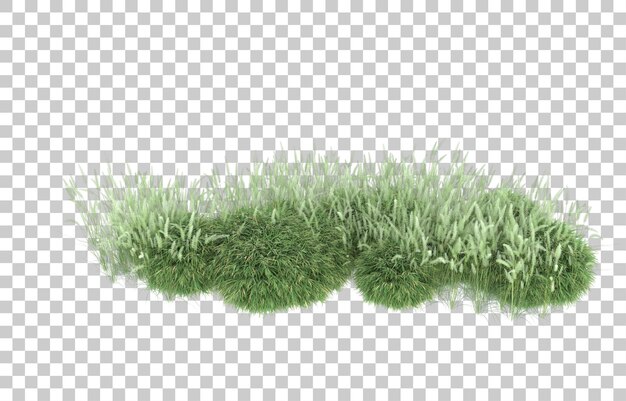 Herbe Sur Fond Transparent. Rendu 3d - Illustration