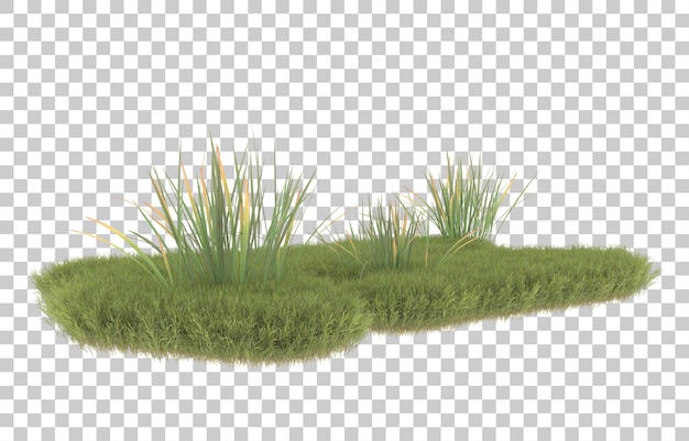 Herbe sur fond transparent. rendu 3d - illustration