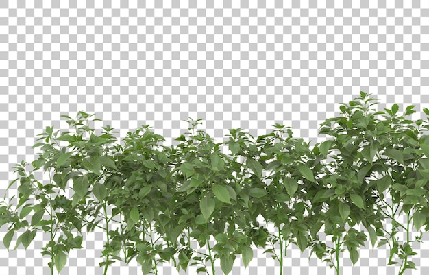 Herbe sur fond transparent. rendu 3d - illustration