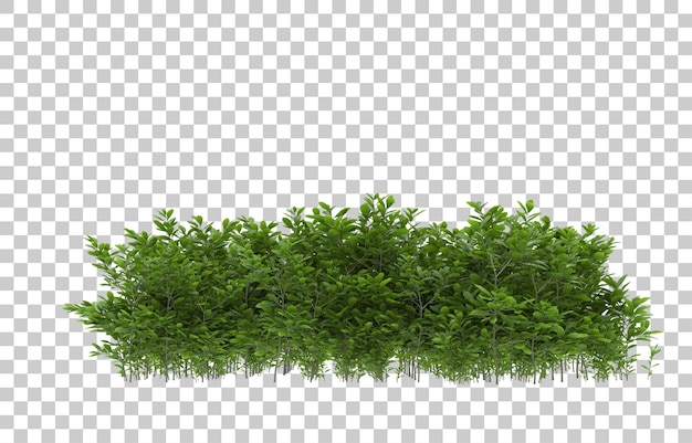 Herbe Sur Fond Transparent. Rendu 3d - Illustration