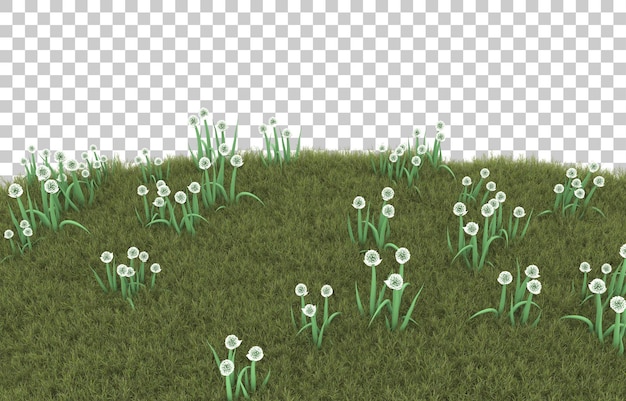 PSD herbe sur fond transparent. rendu 3d - illustration