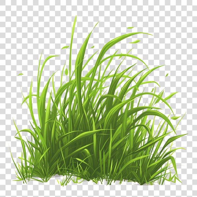 PSD herbe isolée sur fond transparent png