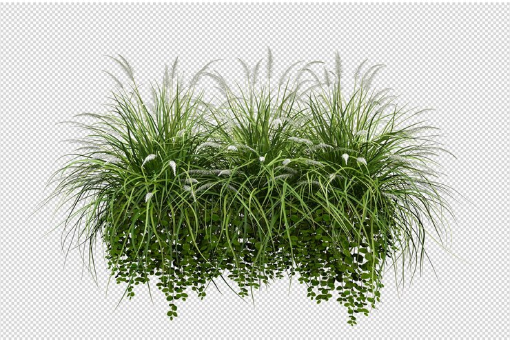 Herbe isolée en rendu 3d